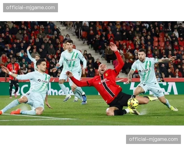 罗马队长佩莱格里尼谈球队目标：确保欧冠资格